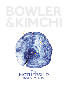 The Mothership Investments